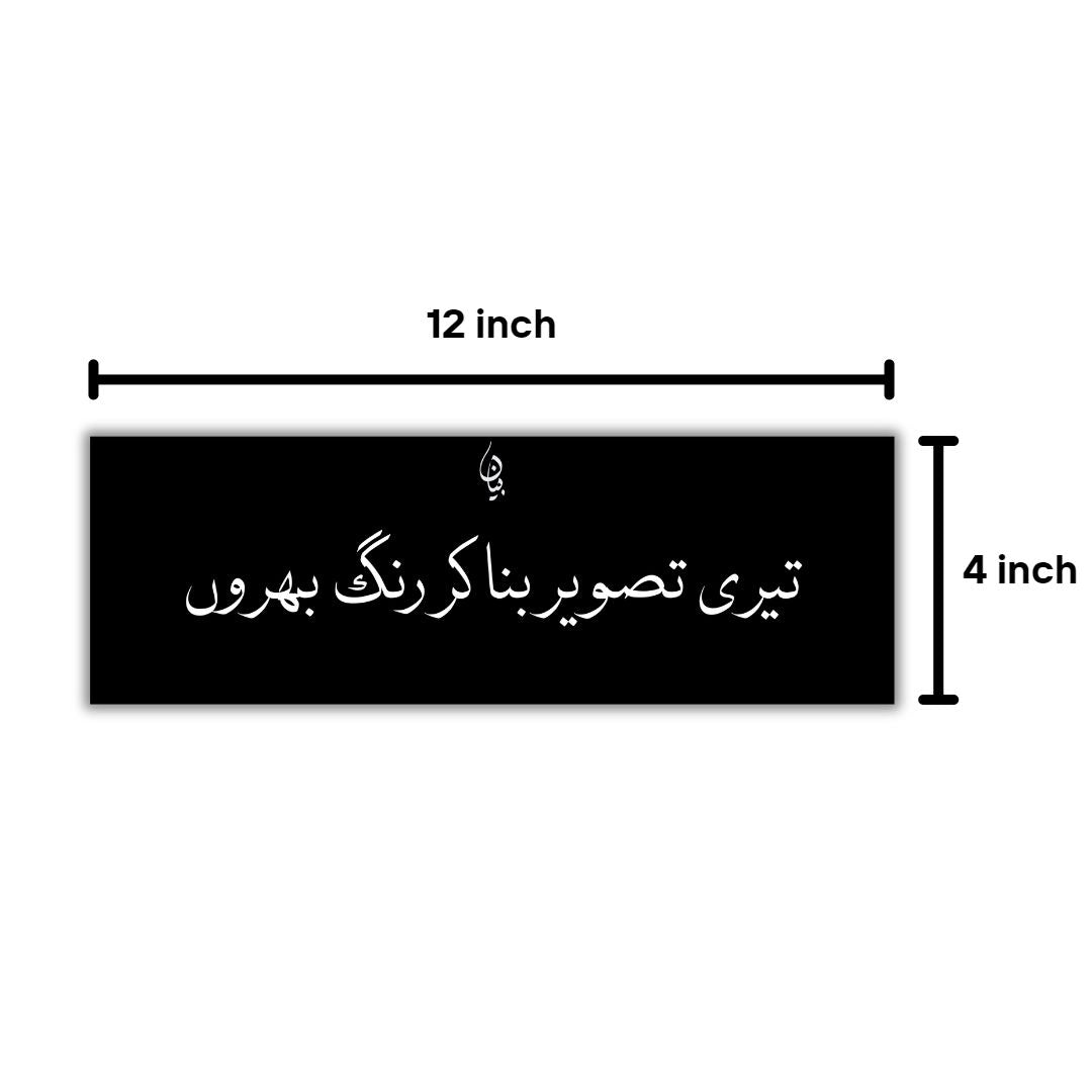 Teri Tasveer Bna Kr Rang Bharoon Frame 12x4